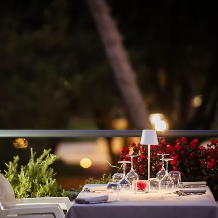 Raffaello & Mooka Restaurant 4* סניגליה